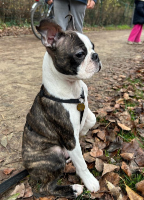 ALDO